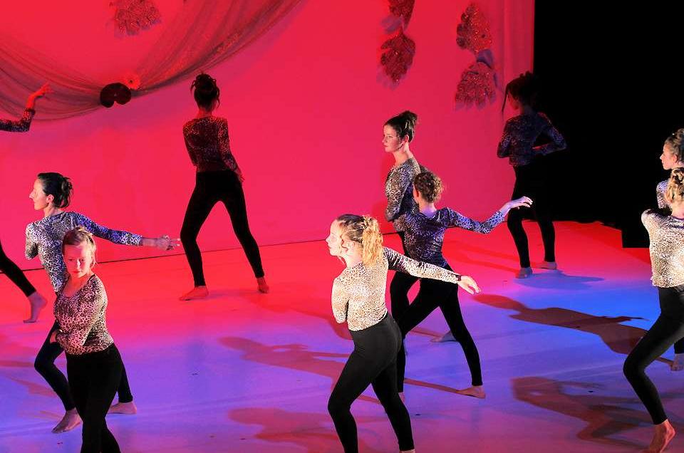 <div>Cours danse Michelet/Furtin</div>