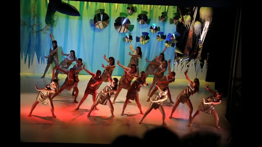 <div>Cours de danse Michelet/Furtin</div>